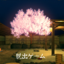 脱出ゲーム 桜舞う露天風呂 1.0