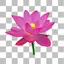 Background Eraser Free -CutOut 3.0.0