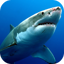 Sharks Live Wallpaper 5.0