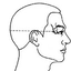 TCM Acupuncture Index/Acupoint 2.93.7