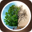 علمتني الحياة 1.1