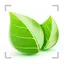 Plant Shoot, Plant Identifier 2.6