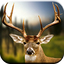 Deer Hunting Calls Soundboard 10.0