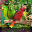Live wallpapers birds 27.0
