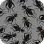 Cricket Sounds 3.0.1