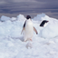 Mission Antarctica 1.1