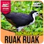 Suara Pemikat Ruak Ruak Ampuh 6.5