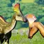 Olorotitan Simulator 1.1.6