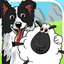 CollieRun - Dog agility game 1.0