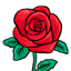 Roses flower Wallpapers V2 1.1.5