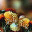 Autumn Flowers Live Wallpaper 6.9.72