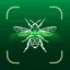 Insect Bug Identifier: Spider 2.6