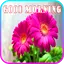 Good Morning Images GIF 17.5.2
