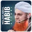 Maulana Abdul Habib Attari 2.3