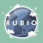 Work notebooks by Rubio 2.0.9
