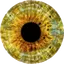 Ishihara Color Blindness Test 1.5.2.0