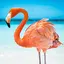 The Flamingo 1.1.4