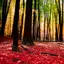 Autumn Landscape Wallpaper 1.0.6