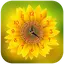 Sunflower Clock Live Wallpaper 1.0.4