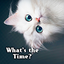 Cute Theme What's the Time? 1.0.0