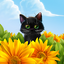 Cute Kitten Live Wallpaper 1.0.8