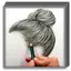 Drawing Realistic Hair 1.3.0