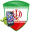 Iranian apps and games 2.8.2