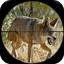 Coyote hunting calls 10.01
