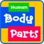 Learning Human Body Parts 1.6