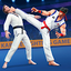 Karate Fighting Kung Fu Game 1.6.9