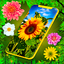 HD Summer Live Wallpaper 6.10.18