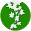 Ivy (Sidebar Launcher, Widgets 1.1.29