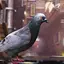 Crappy Bird: Pigeon Simulator 1.0.4