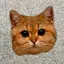 Meow - Cat Sounds 1.2.1