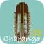 Charango Tuner & Metronome 1.5