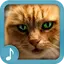 Meowing Cat Sounds Ringtones