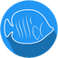 AQUAStore - Online Aquarium an 4.2.0