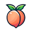 فیلتر شکن قوی پرسرعت Peach Vpn 5.0