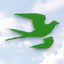 BirdingApp. 10.5.07