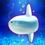 Aquarium Sunfish simulation game 1.0.2