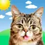 Weather BUB 6.0.4