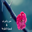 صور واتس اب (بدون نت)