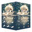 AppLock Theme Swan 1.2