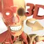 3D Anatomy + 1.3