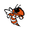 Mineola ISD, TX
