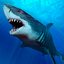 Shark Wallpapers 10.21.1002.shark