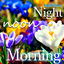 Good Morning Night flower wish 9.09.5.2