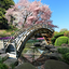 Sakura Garden Live Wallpaper 1.0.8