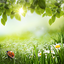 Green Spring Live Wallpaper 9.0