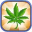 Weed Business - Drug Farm Tycoon